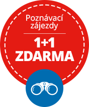 Skupina 9